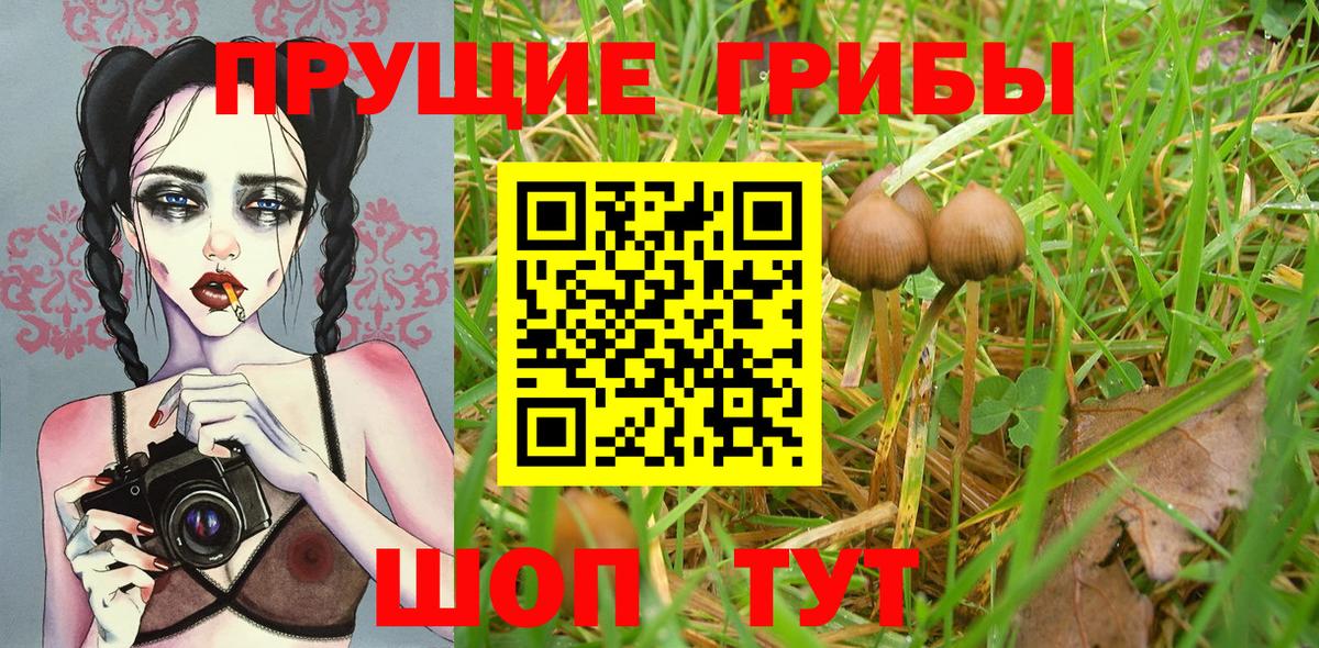 Галлюциногенные грибы мицелий Пушкино
